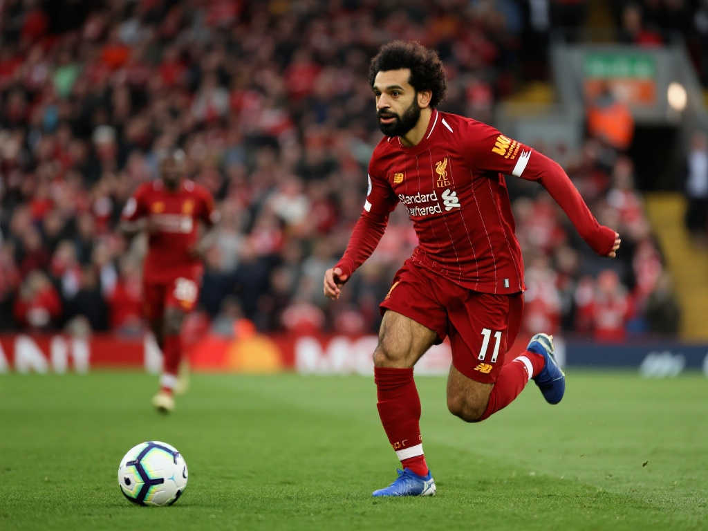 到的是球迷 到的是球迷